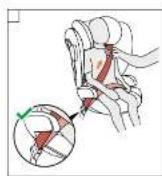 CYBEX Pallas B2Fix + Lux - 4