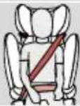 CYBEX Pallas B2Fix + Lux - 傾斜式頭枕 - 2
