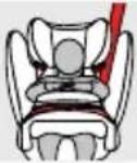 CYBEX Pallas BFix - РЕГУЛИРОВКА ПОДГОЛОВНИКА - 2