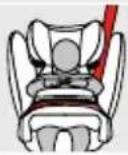 CYBEX Pallas BFix - 从车辆上拆下儿童座椅 - 1
