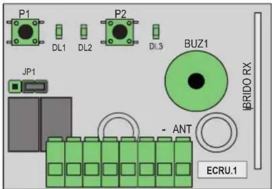 Vimar ELVOX ECRU.1 - - Caractéristiques du produit - 1