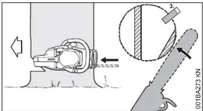 STIHL MS 231 - Taglio di abbattimento con fascia di sicurezza (albero normale) - 2