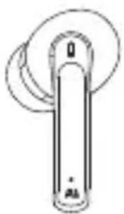 Ausounds AUFrequency BT - 内容 - 1
