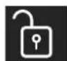 BERTAZZONI REF30FCIPIXL - Padlock icon. - 1