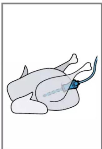 BOSCH HIS8055U - Insert the meat probe in the food to be cooked - 2