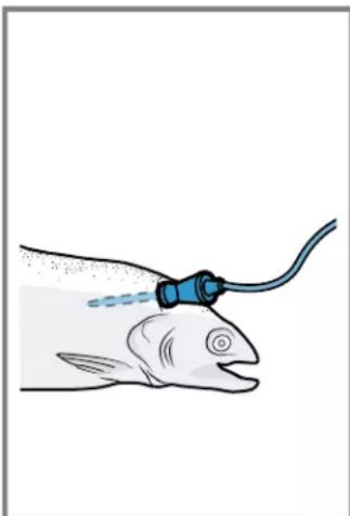 BOSCH HIS8055U - Insert the meat probe in the food to be cooked - 1