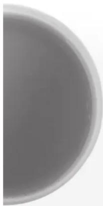 RIVIERA & BAR Elia BBT770 - ARB S.A.S. - 7