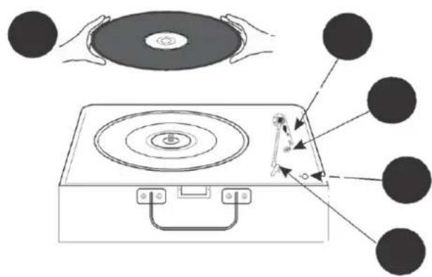 Classic Phono TT33 - Systemanschluss - 1