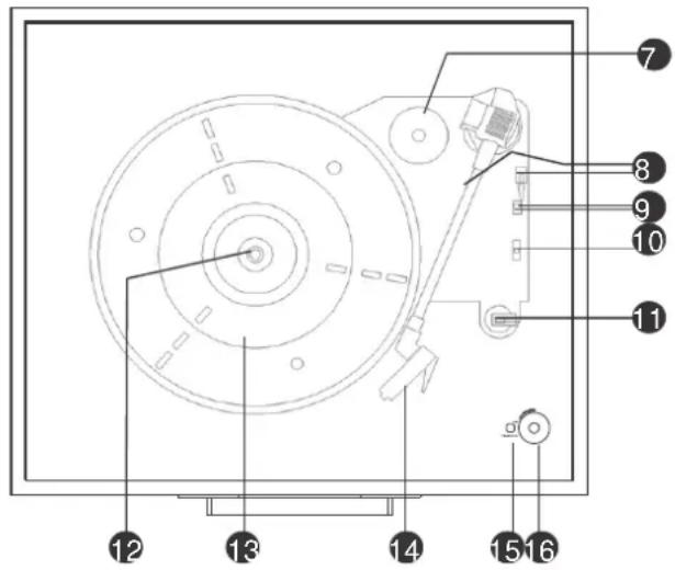 Classic Phono TT33 - Intérieur - 1