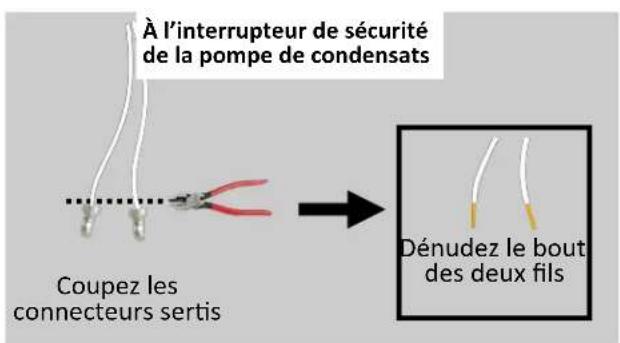 Rinnai RU180eN - Câblage de l'interrupteur de sécurité de la pompe de condensats - 2