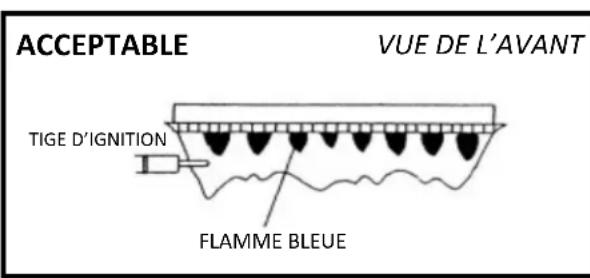 Rinnai RU180eN - Inspection visuelle de la FLAMME - 2