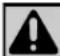 Rinnai V94iN - To Display Diagnostic Information - 1