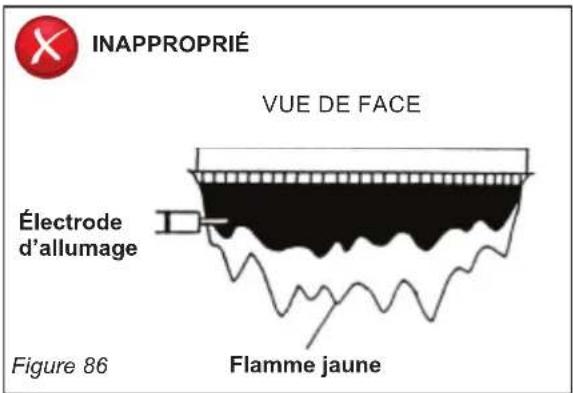 Rinnai RSC199iP - Inspection visuelle de la FLAMME - 2
