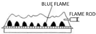Rinnai RUCS65iP - Visual Inspection of Flame - 1