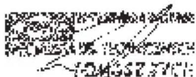 Yato YT82390 - DECLARATION OF CONFORMITY - 1