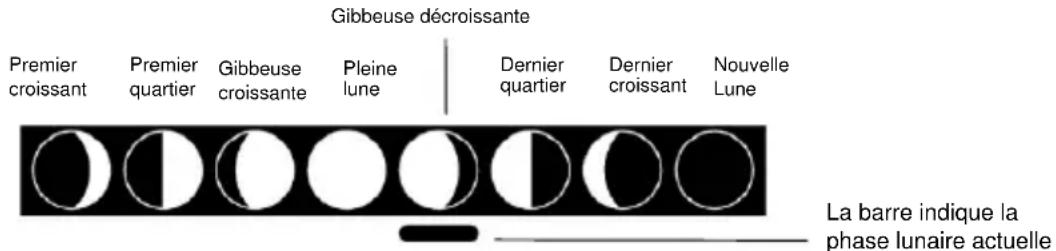 TFA Linea Plus 35.1144.01 - PHASES de la LUNE : - 1
