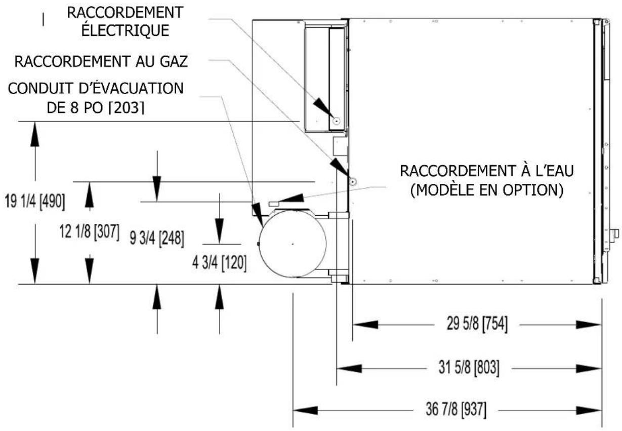 Dexter Laundry T170 - Avertissement : RISQUE d'électrocution - 1