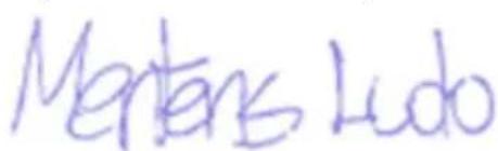 PowerPlus POWDP35100 - CONFORMITEITSVERKLARING - 3