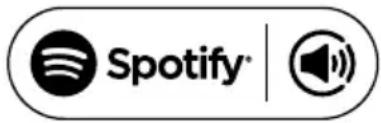 MEDION LIFE P66400 (MD 44200) - Utilizzo dei servizi di streaming - 2