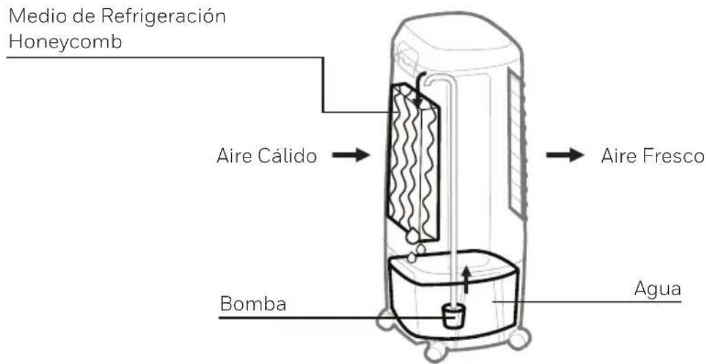 HONEYWELL TC10PEU - Mecanismo de Enfriamento de Aire por Evaporacion - 1