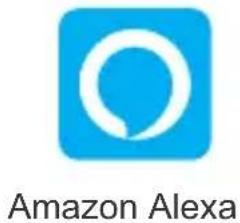 Sonoff ZBMINI - Adicione Amazon Echo - 9