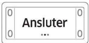 0 Anslutningen lyckades 0 0