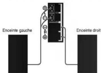 LG LVNB1860FL - Raccordement des enceintes - 1