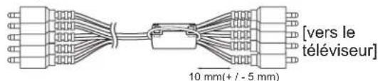 [vers le téléviseur] 10 mm(+ / - 5 mm)