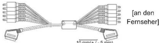 [an den Fernseher] 10 mm(+/-5 mm)