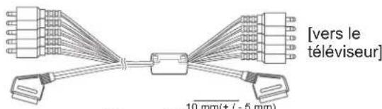 [vers le téléviseur] 10 mm(+/-5 mm)