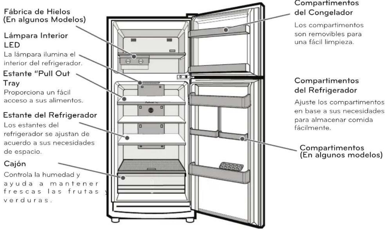 Fábrica de Hielos (En algunos Modelos) Lámpara Interior LED La lámpara ilumina el interior del refrigerador. Estante "Pull Out Tray" Proporciona un fácil acceso a sus alimentos. Estante del Refrigerador Los estantes del refrigerador se ajustan de acuerdo a sus necesidades de espacio. Cajón Controla la humedad y ayuda a mantener frescas las frutas y verduras. Compartimentos del Congelador Los compartimentos son removibles para una fácil limpieza. Compartimentos del Refrigerador Ajuste los compartimentos en base a sus necesidades para almacenar comida fácilmente. Compartimentos (en algunos modelos)