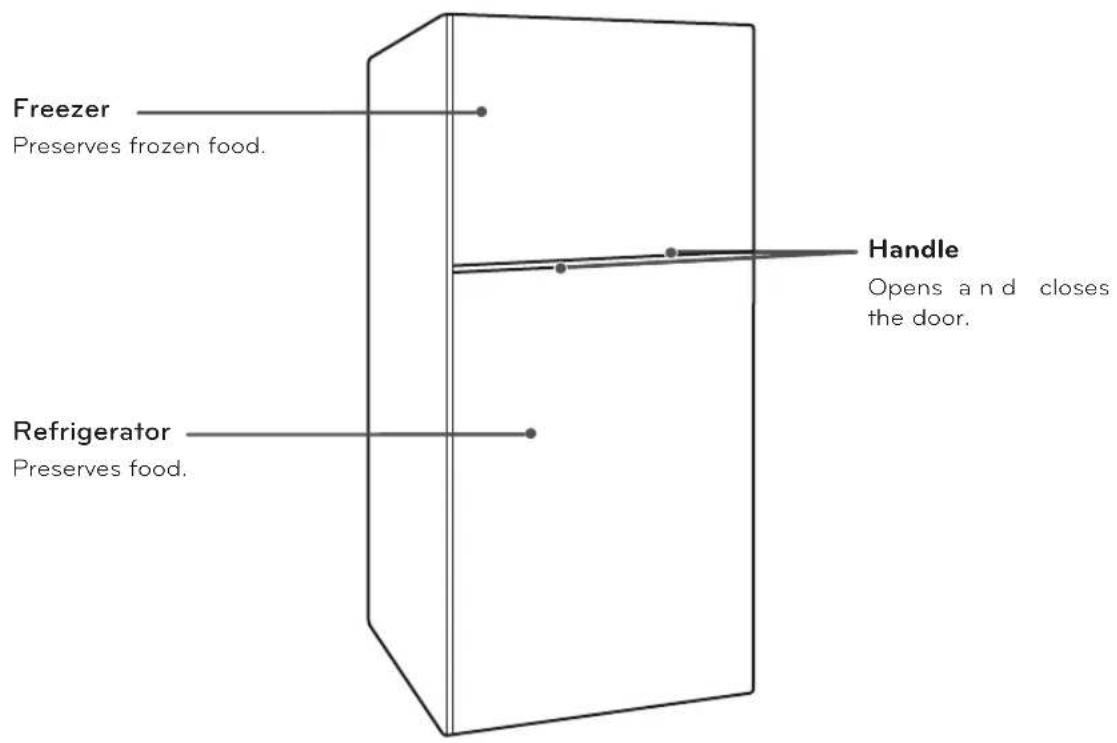 Freezer Preserves frozen food. Handle Opens and closes the door. Refrigerator Preserves food.