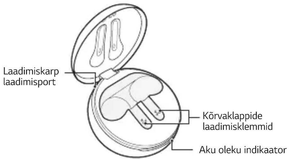 LG Tone Free TONEDFP3W - Laadimiskarp - 1