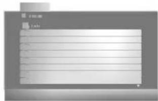 LG DV8600E1CM - Wiedergabe von DivX-Spielfilm-Discs - 1