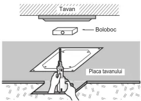 Tavan Boloboc Placa tavanului