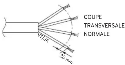 COUPE TRANSVERSALE NORMALE VTJA 20 mm
