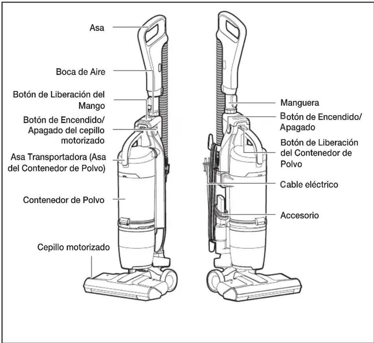 Asa Boca de Aire Botón de Liberación del Mango Botón de Encendido/ Apagado del cepillo motorizado Asa Transportadora (Asa del Contenedor de Polvo) Contenedor de Polvo Cepillo motorizado Manguera Botón de Encendido/ Apagado Botón de Liberación del Contenedor de Polvo Cable eléctrico Accesorio