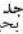 Fein Ex18a - J = 2 - 13