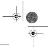 Fein RSG 18b - Formfraser - 4
