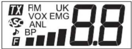 STABO XM 3006e 1224 V VOX - Display when activated - 2
