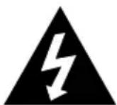 Lauson CP445 - WARNING - 2