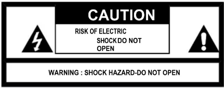 Lauson CP445 - WARNING - 1