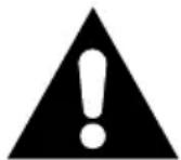 Lauson CP445 - LIGHTNING FLASH WITH ARROWHEAD SYMBOL - 1