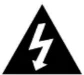 Lauson CP445 - 2