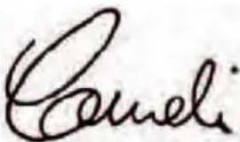 Coneli