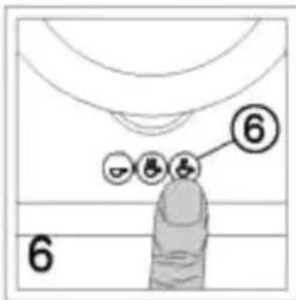 6 6
