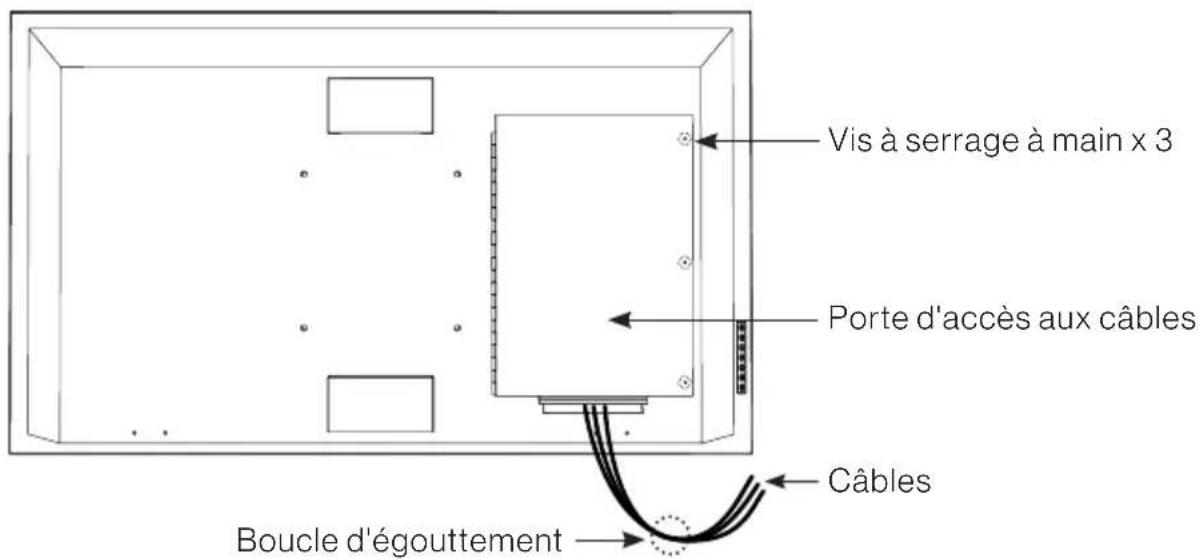 Furrion FDUP43CBR - Avant l'utilisation - 1