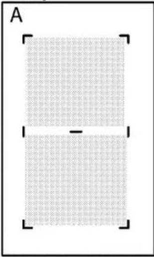 GRUNDIG GIEI 638980 IF - Mode « Autoflexi » (activation automatique du foyer de cuisson à grande surface) - 2