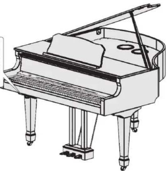 ROLAND GP609 - Prises phones - 3