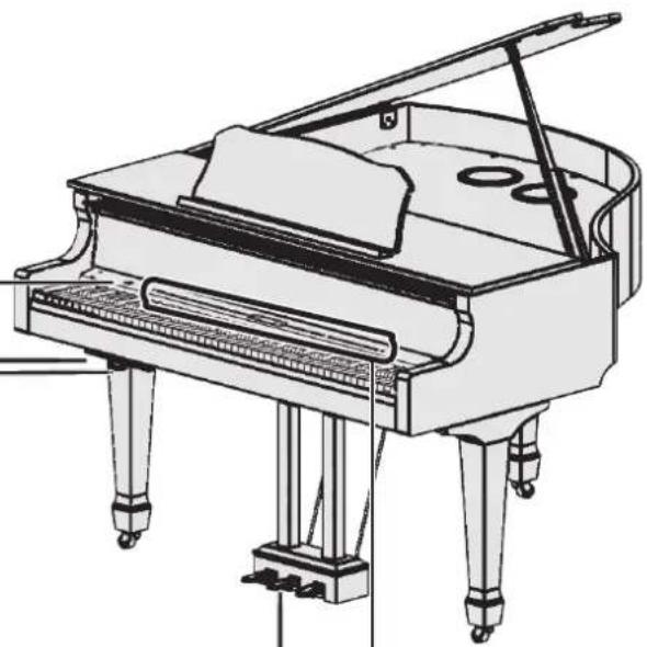 ROLAND GP609 - Panneau inférieur - 3